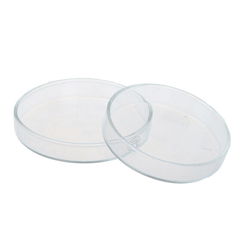 Clear Glass Shrimp Feeding Food Dish Feeder Tray Round Container Aquari.l8