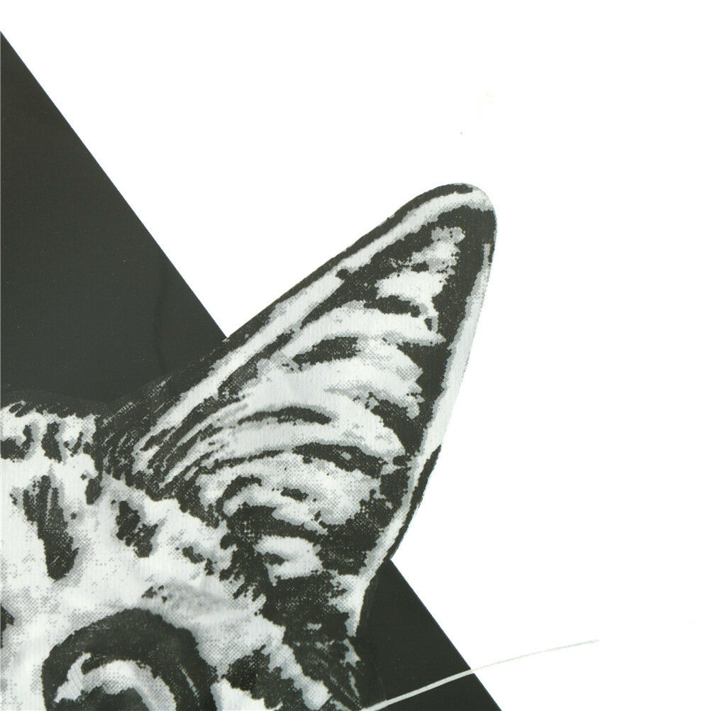 triangle cat pattern patch ironing stickers heat transfer iron on patches.l8