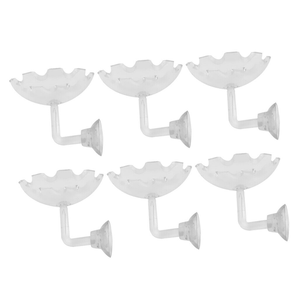 6x Shrimp Feeding Bowl Dish Food Round Dishes Small Fish Feeding Bowl Ornamental
