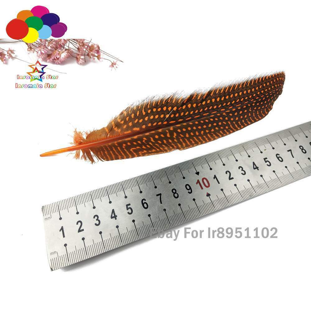 Dyed Orange Turkey 15~20cm Length 100pcs Polka Dot Guinea Fowl Quill Feathers