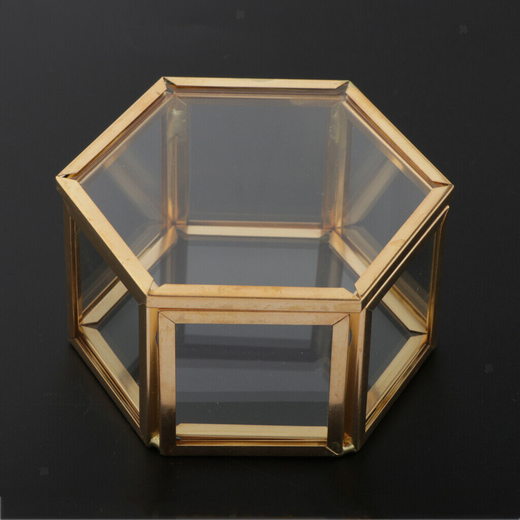 Jewelry Storage Case Bonsai Container Vase with Lid for Bracelet Watches
