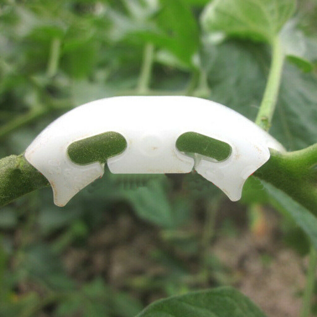 100pcs Tomato Garden Trellis Plant Holder Fixing Clip for