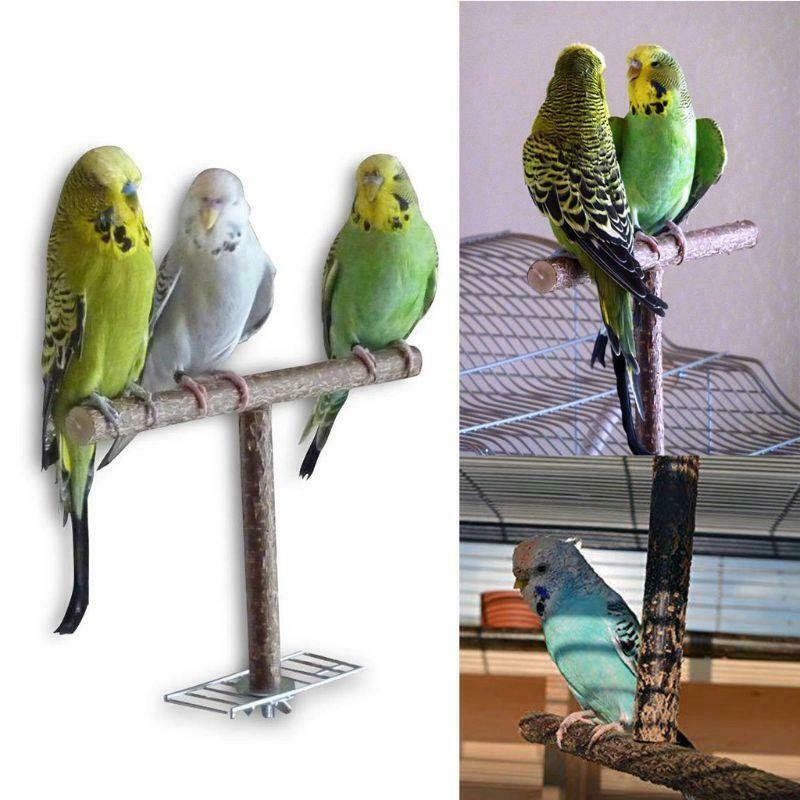 Bird Parrot Wood Cage Toys Training T Perch Grinding Chewing Parakeet Stand