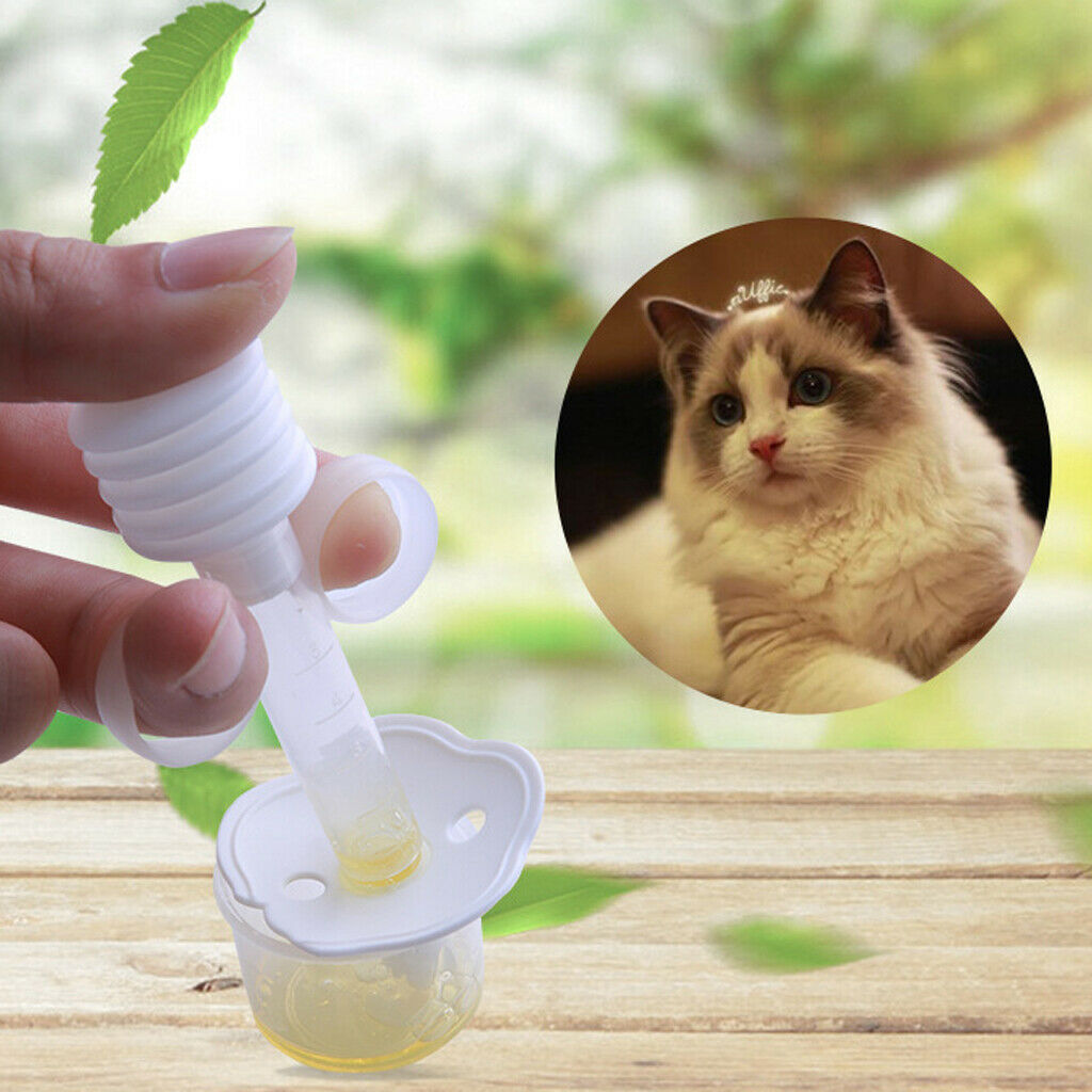 2 Pcs Pet Medicine Feeder Dog And Cat Pet Medicine Water Feeder Small Animal