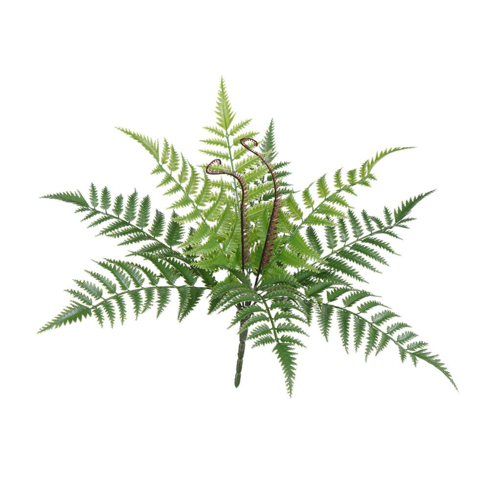 Natural Real Dried Leaves Press Dry Ferns Leaves for Nail Art Decor DIY