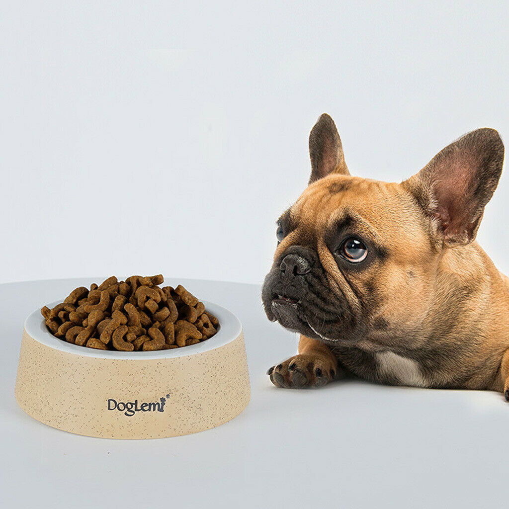 Pet Dog Feeder Cat Water Bowl Feeding Bowl Dish Container Type 3