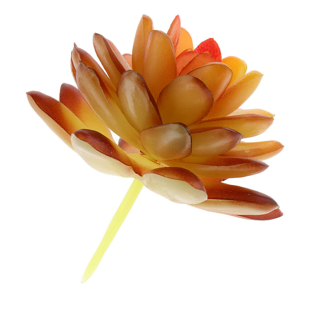 Artificial Plastic  Simulation Succulents Plants Flowers Vivid Echeveria Flower