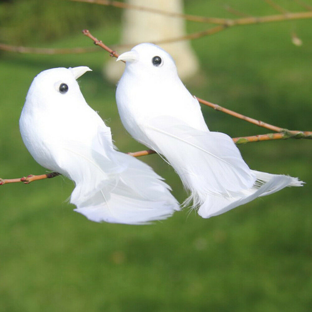 2Pcs Birds Simulation Artificial Feather Doves Feather Park Mall Ornament.l8