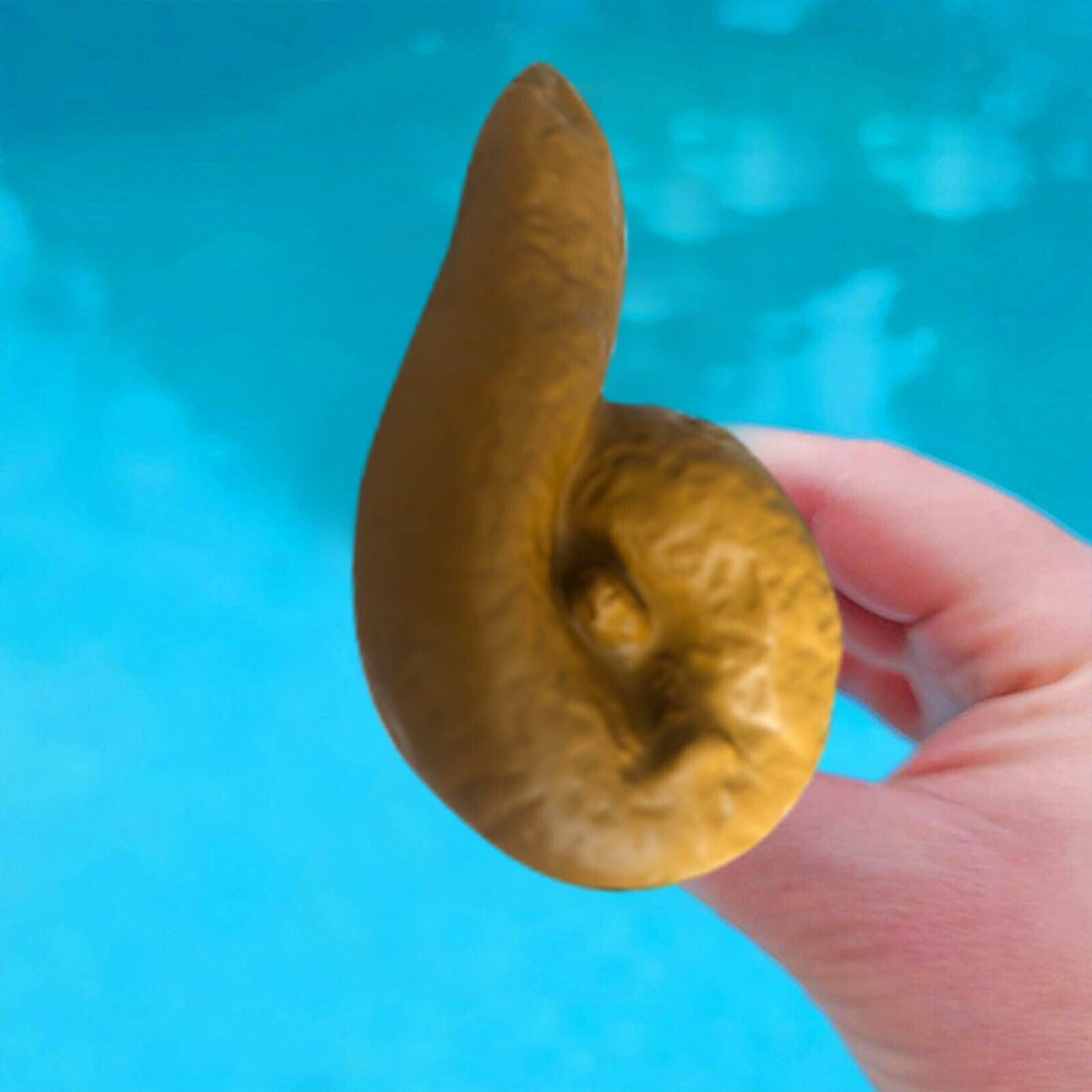 Swimming Pool Water Thermometer Funny Poop Prank Sauna Floating Thermometer