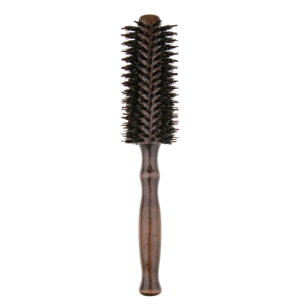 Hair Brush Professional Hairdressing Comb Brush + Hair Curlers