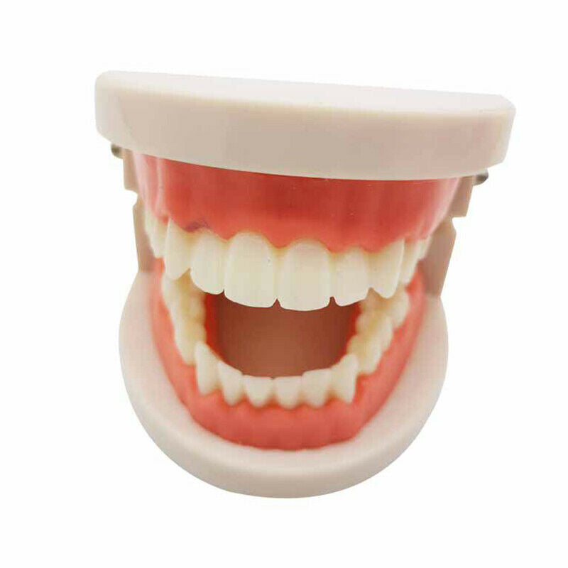 Educational Toys for Children Kids Intelligence Brushing Tooth Teaching AidsFCA