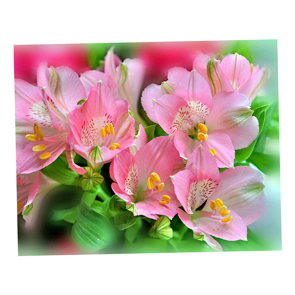 Pink Flowers DIY 5D Diamond Painting Embroidery Cross Stitch Kit Home Decor