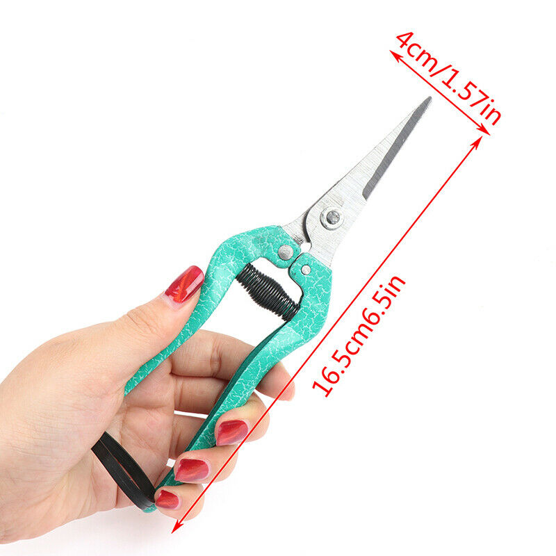 Garden Pruning Shears Fruit Picking Scissors Potted Trim Weed Branches Sc.l8