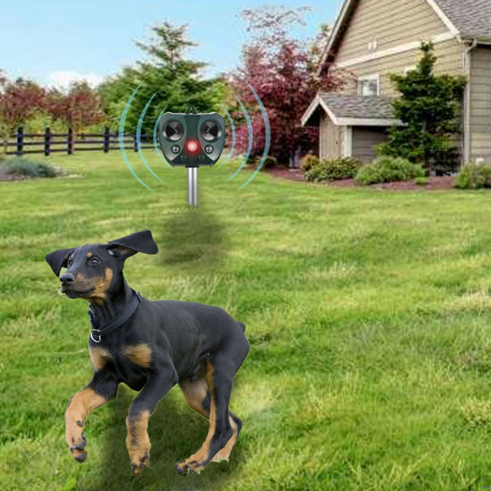 Outdoor Ultrasonic Animal Repeller Raccoon Cat Dog Fox Scarer Repellent