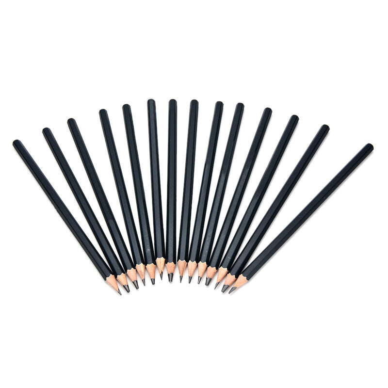 Set Of 14 Sketch Art Drawing Pencil Sketching Oil Base Artist Sketch Soft *u SJ