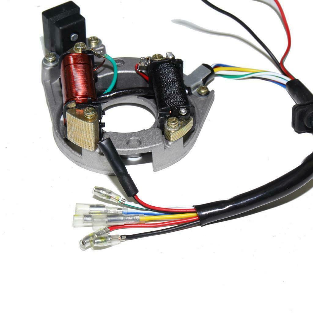 Motorcycle ATV Ignition Stator Coil Magneto 2 Pole for JiaLing JH70