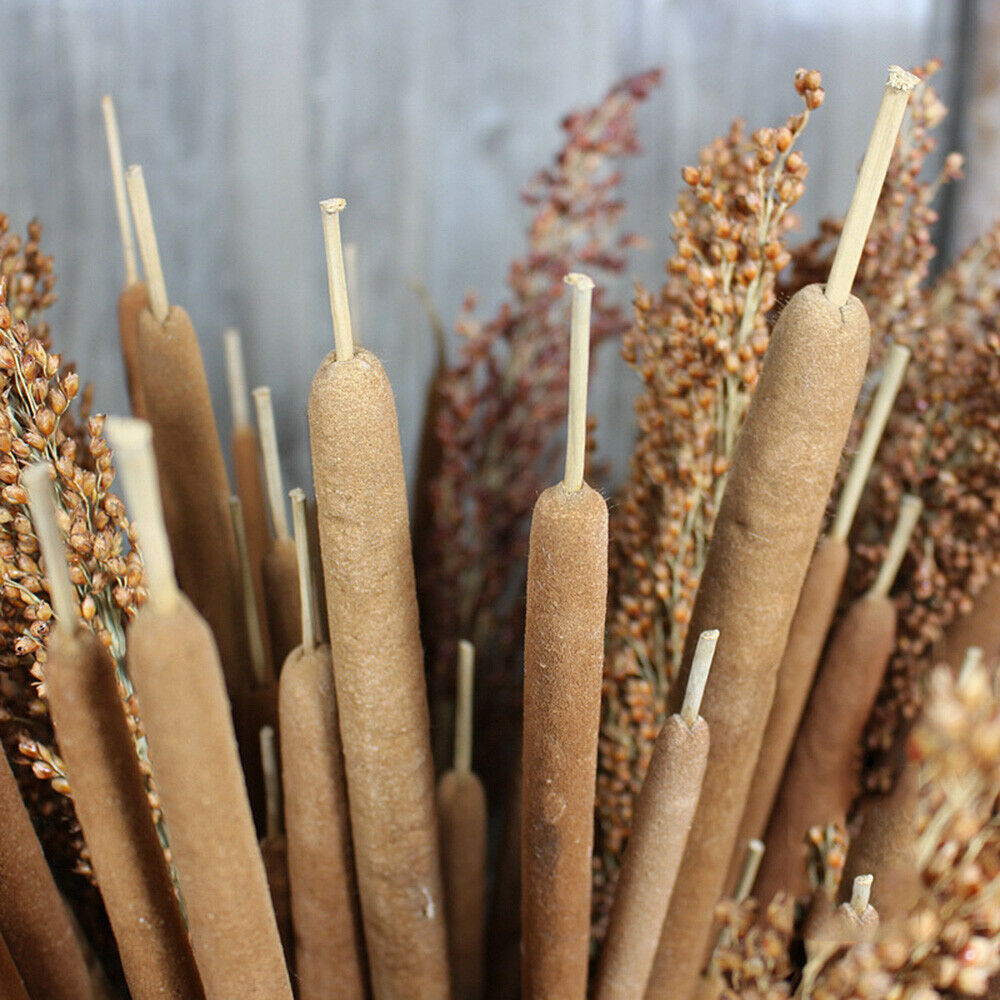 5Pcs Dried Flower Cattails Spike Po Stick Home Wedding Arrangement Floral Decor