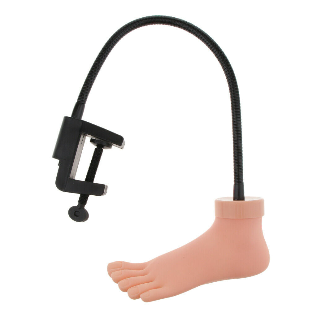 Silicon Practice Pedicure Trainer Training Durable Foot Tool w/ Stand Holder