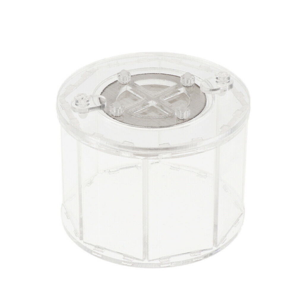 Spider Insect Reptile Tank Vivarium Cage Box Clear Acrylic Terrarium Clear