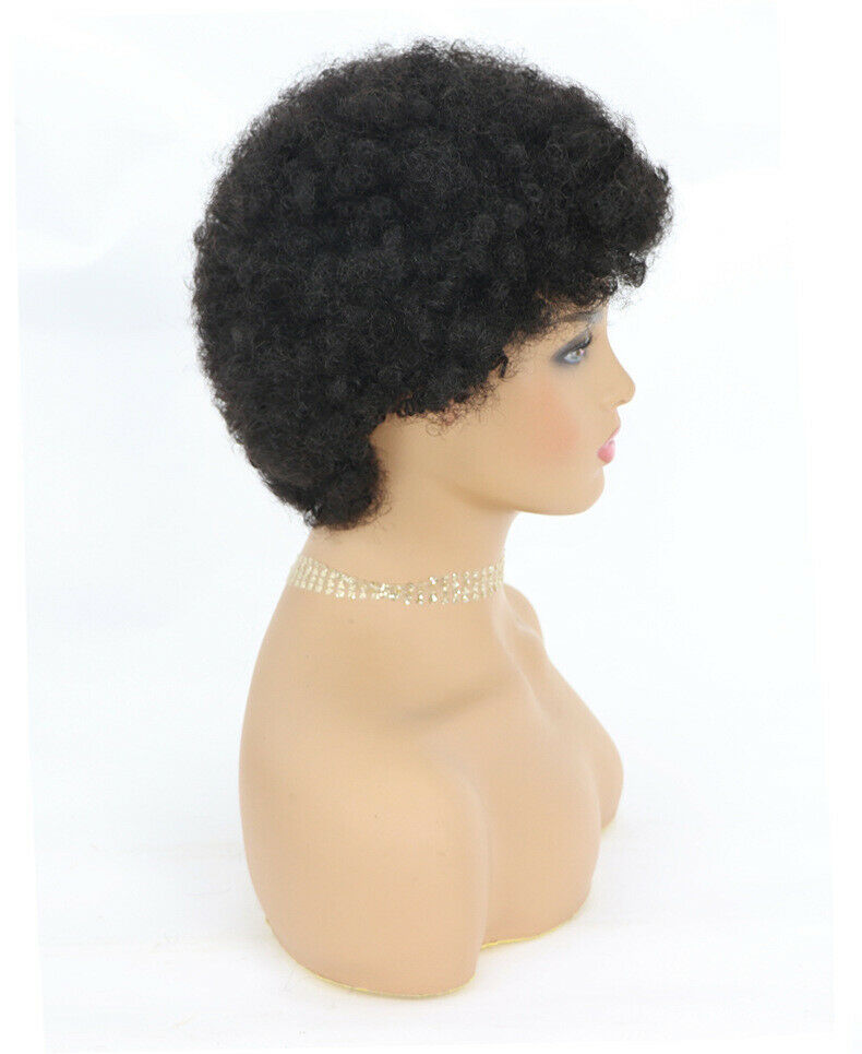 100% Human Hair Afro Kinky Curly Hair Wigs for Black Women African American Wigs