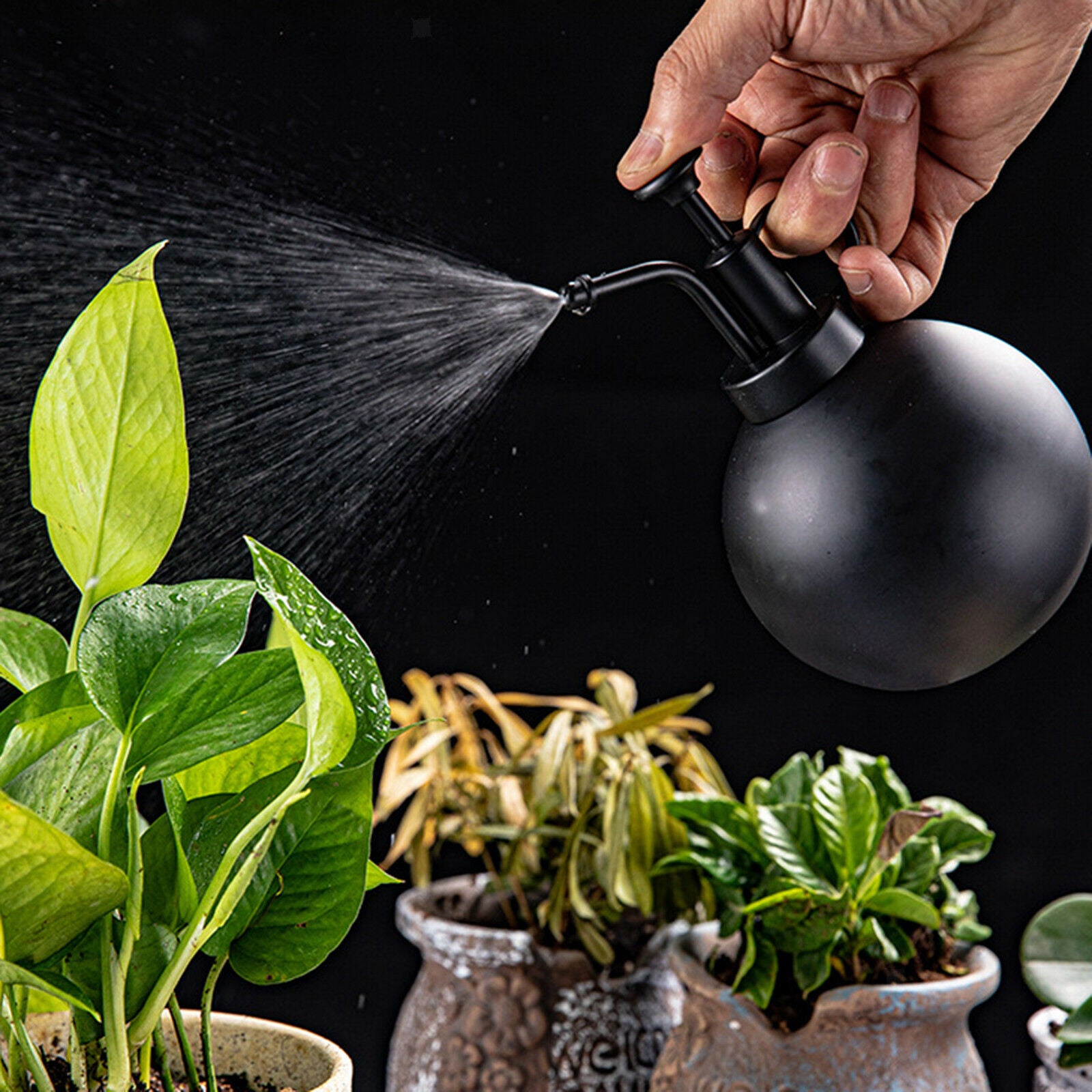 Watering Spray Bottle 6.3 Inches Tall Plant Mister Succulent Indoor Outdoor