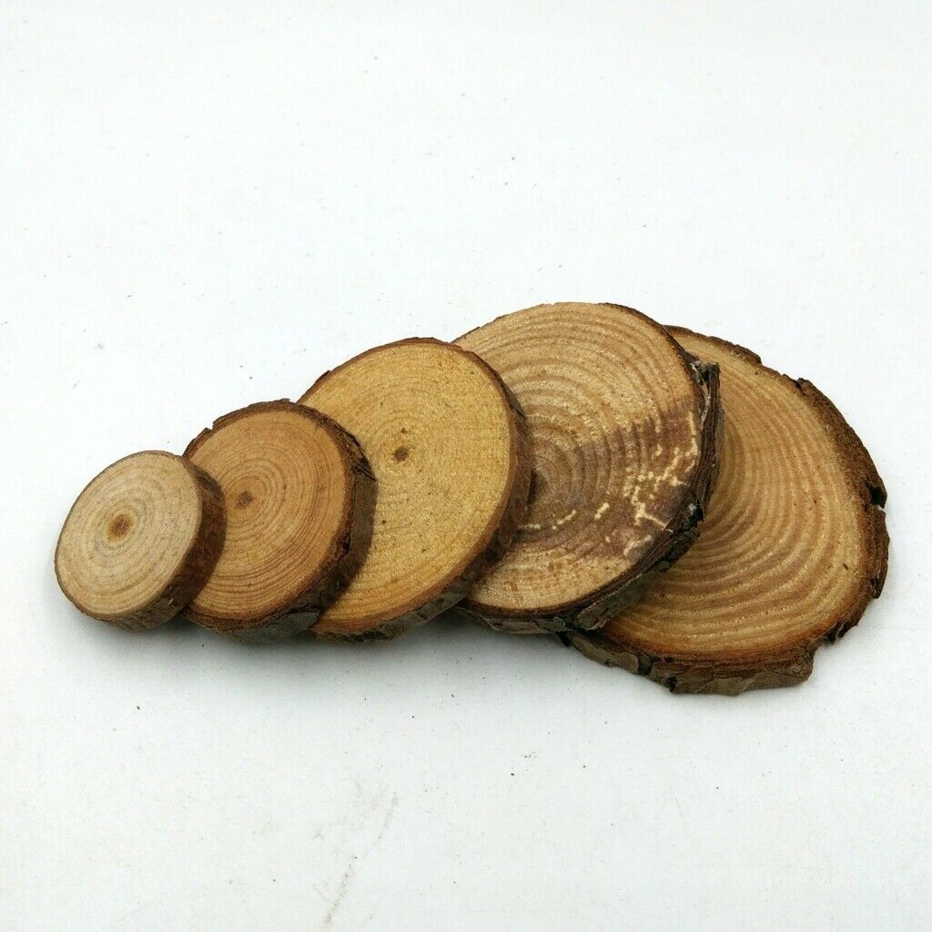 50pc Wood Tree Slices Disc Pine Tree Log Plaques for Drawing Paintings 2-4cm
