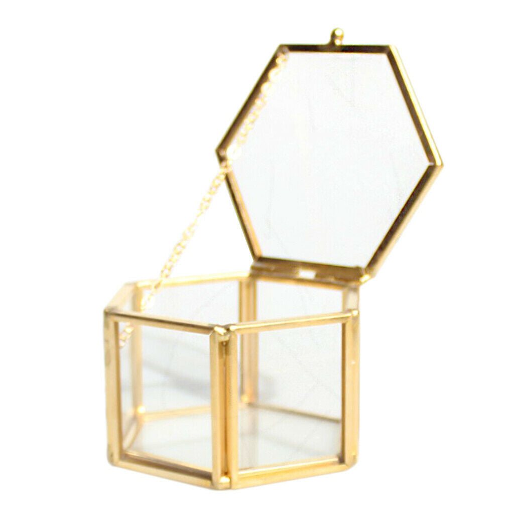 2 Pieces Modern Glass and Brass Cube Shaped Tabletop Succulent Plant Terrarium