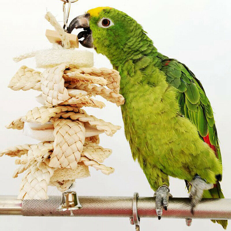 Parrot Pet Bird Chew Cages Hang Toys Chewing Swing Toys Cage Hanging Toys HN US