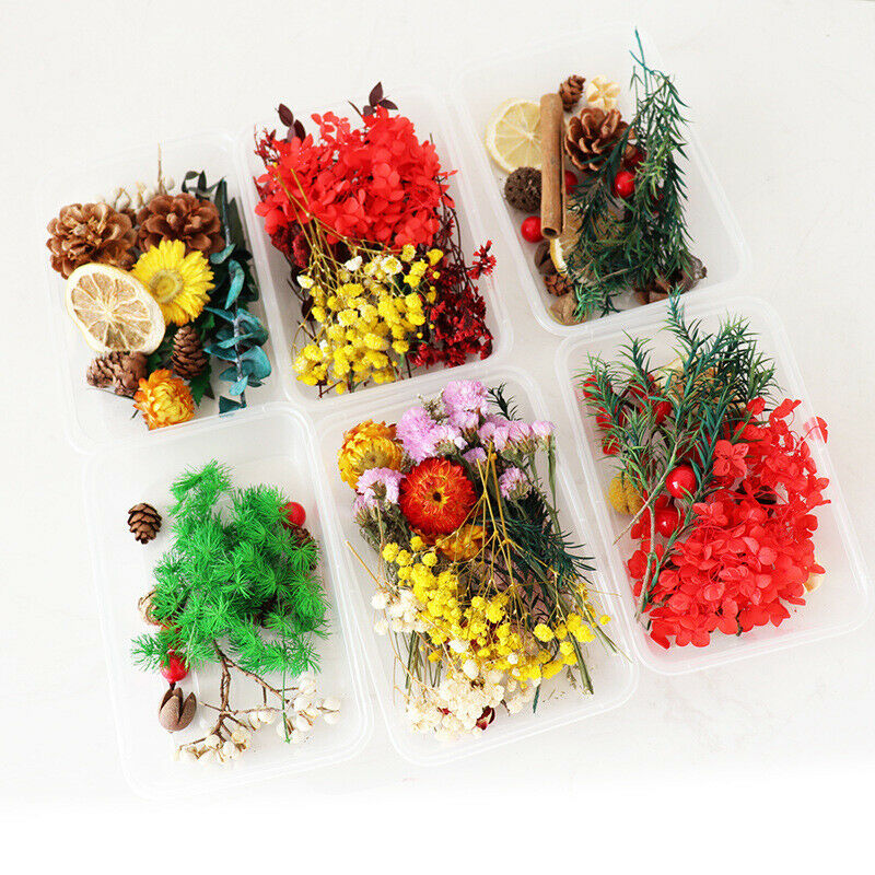 Real Dried Flowers For Diy Candle Making Jewellery Decorative Dry Press Flow KX