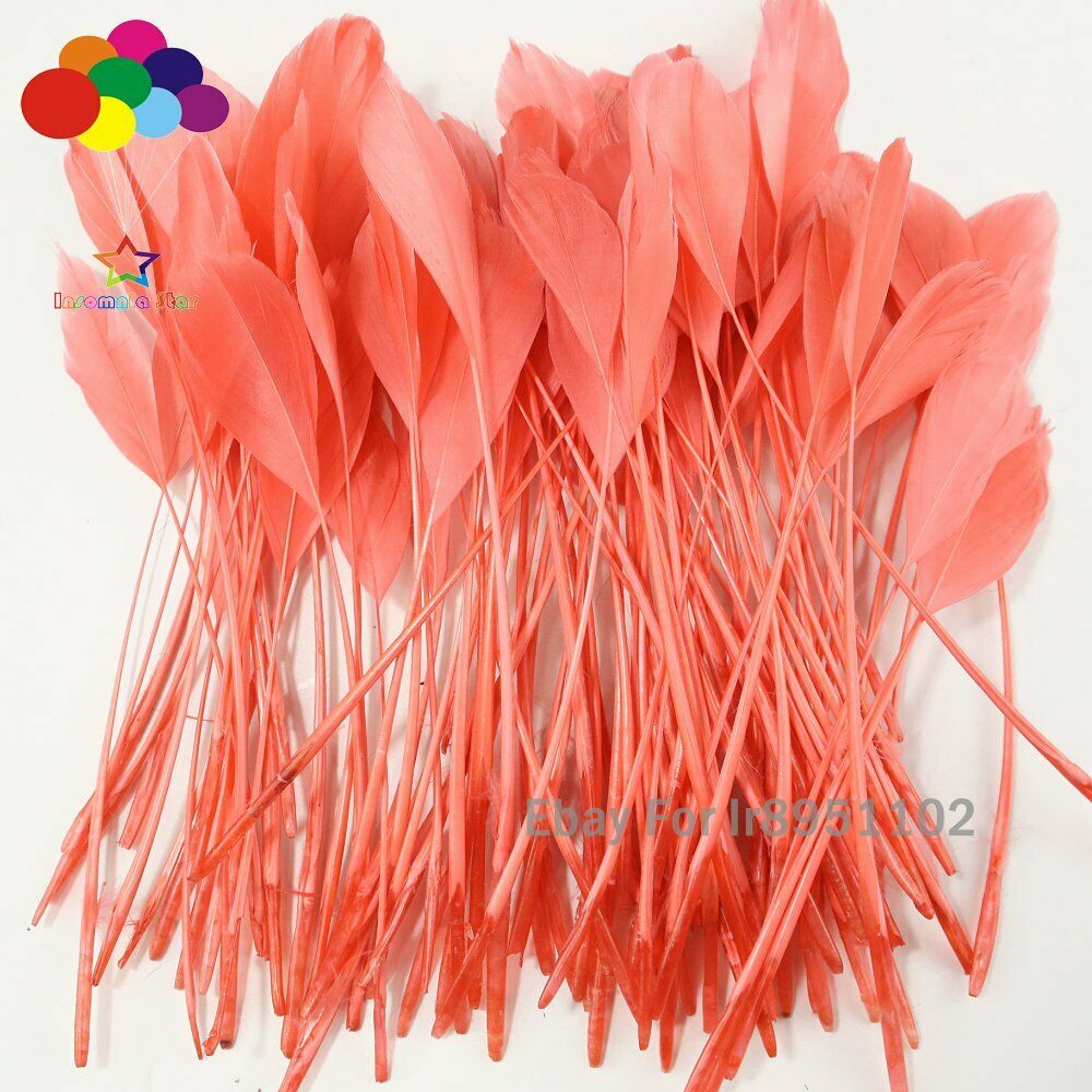 100 Pcs 6-8inch watermelon red Rooster Tail Feather Clothing Decoration Coque