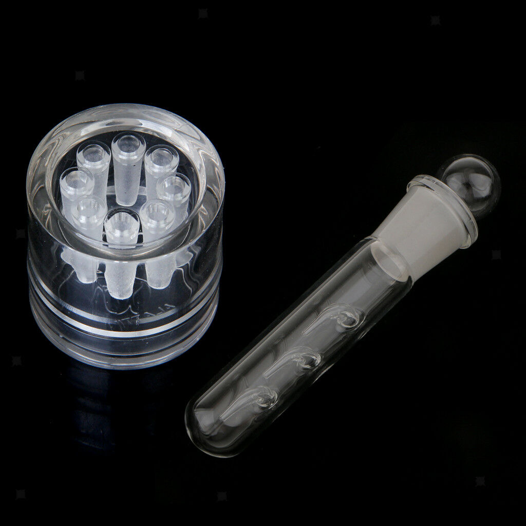 Tank Delicate Planaria Trap Pen Worm Shrimp Leeches Catcher 3&8 Holes