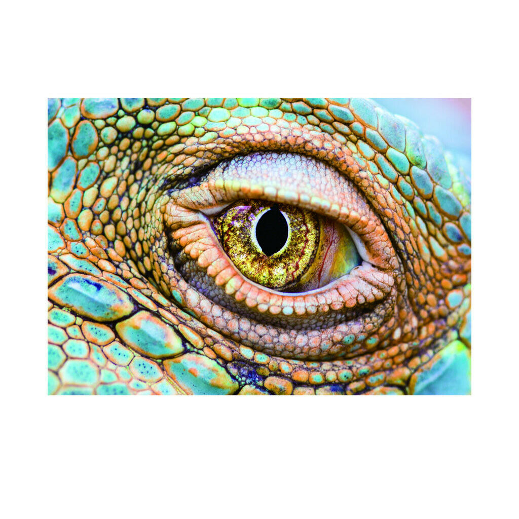 Aquarium Background Eye Style Poster Fish Tank Wallpaper Decoration XS