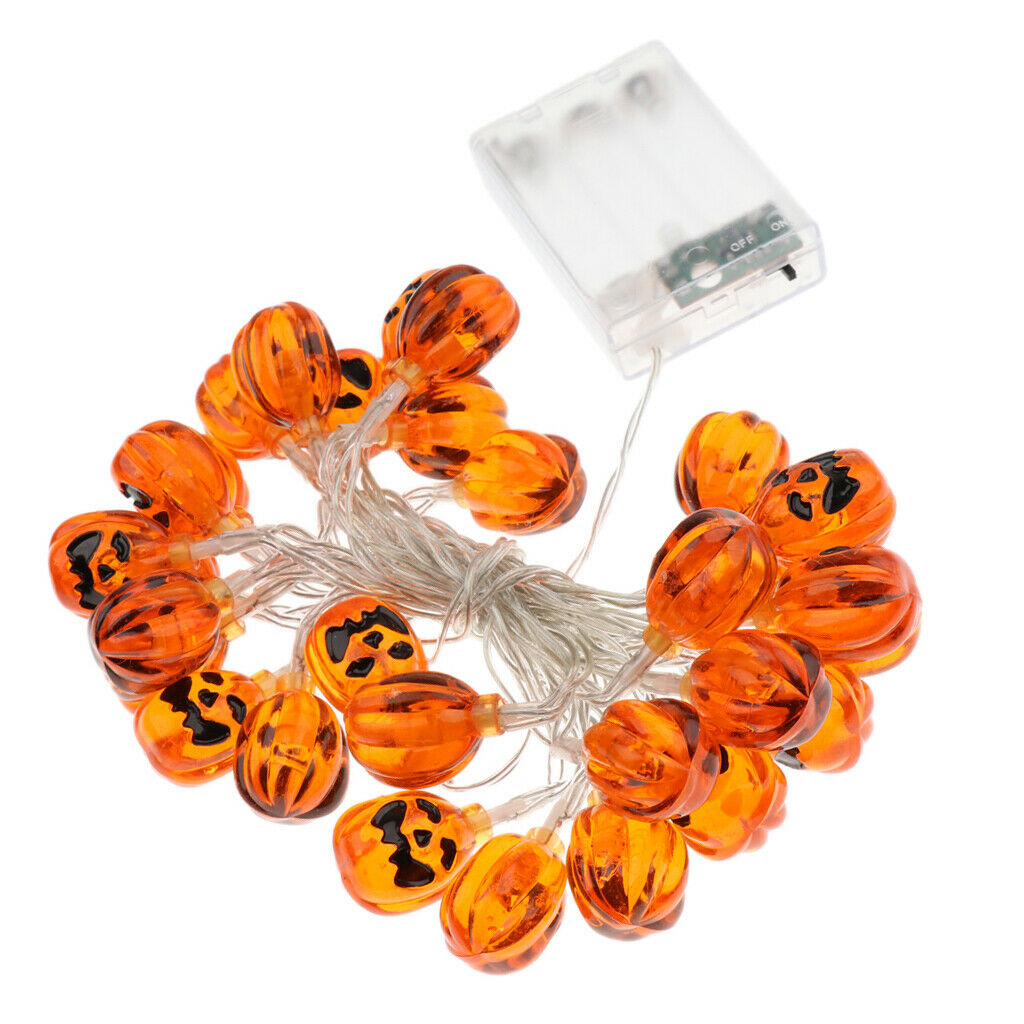 Battery Small Cushaw String Lights LED Fairy Light Decoration 3meter 30LED