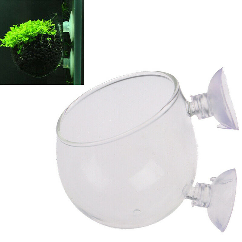 Fish Tank Mini Crystal Glass Pot Water Potted Aquatic Planting Cylinder C.l8