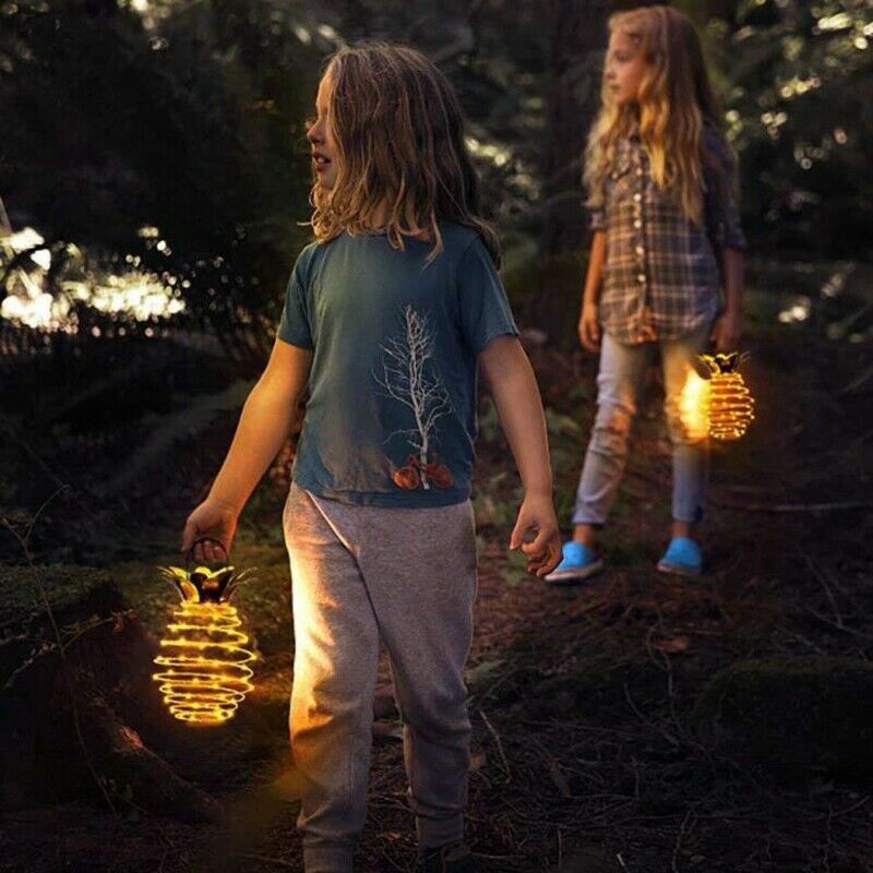 2Pack Pineapple Solar Lantern Lights Outdoor Waterproof Solar Spotlight for YaF4