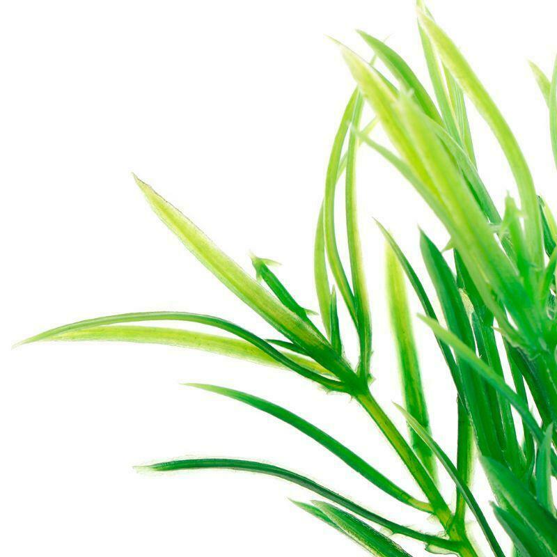 Fish Tank Decoration Short Paragraph Lucky Bamboo Artificial Water Plants