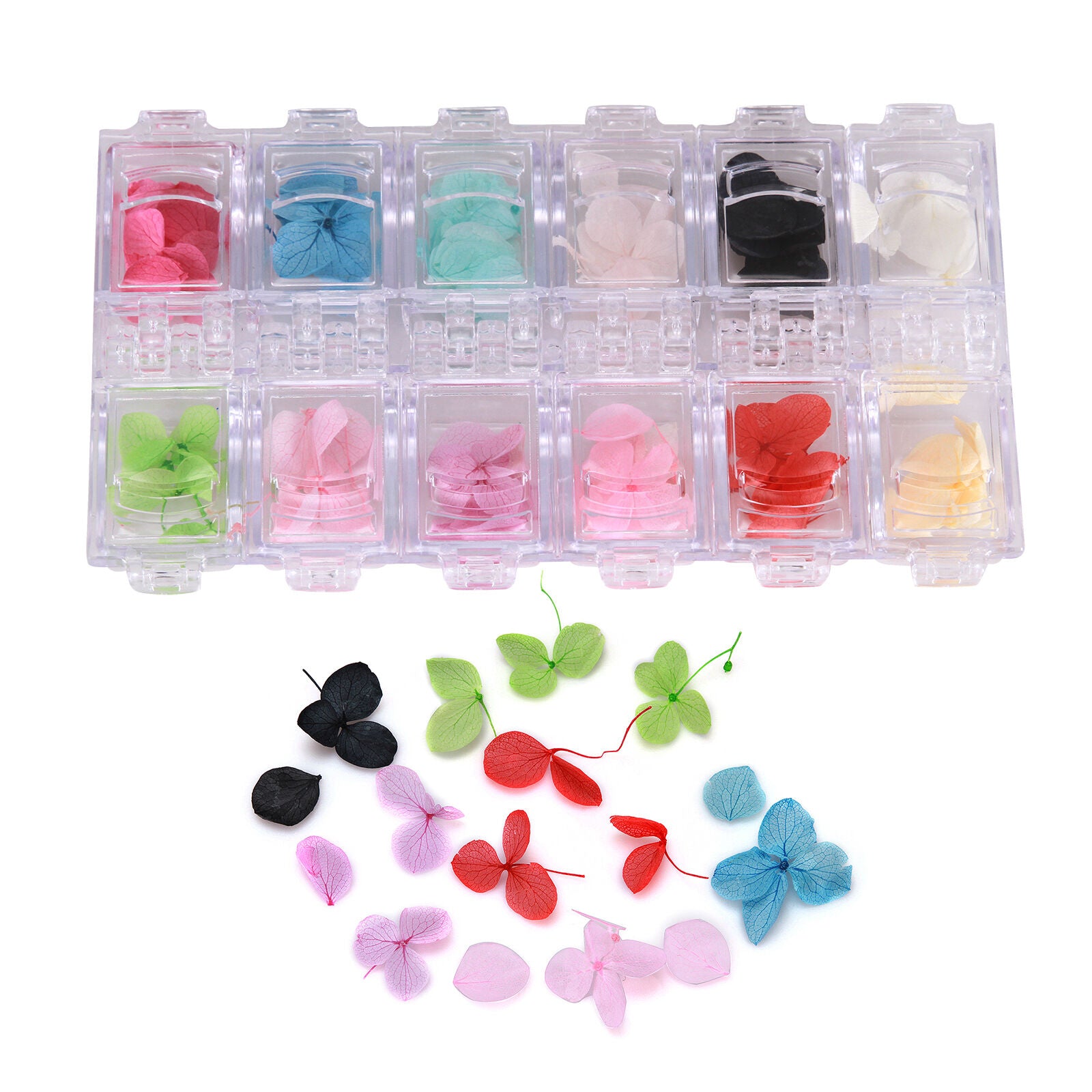 12 Colors Flowers Nail Art Decor Natural Real Dry Dried Flower Petal With Box