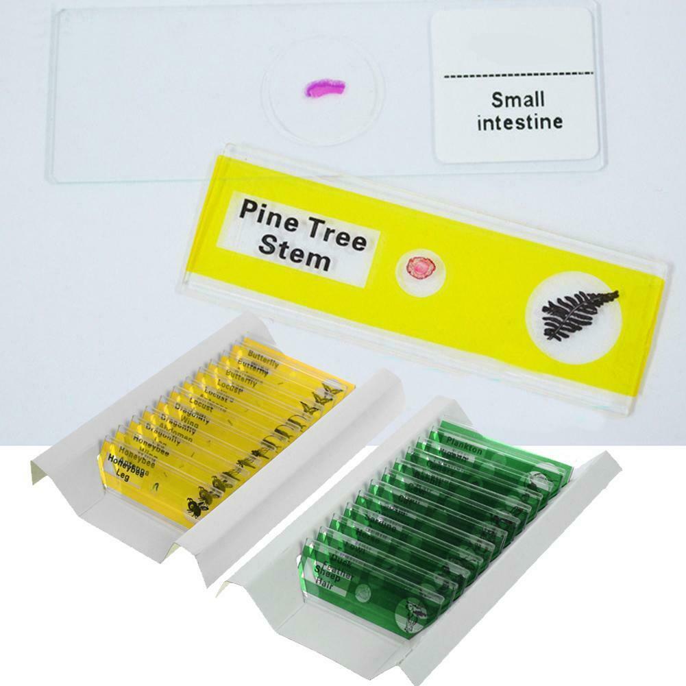 Prepared Plastic Microscope Slides Animals Insects Flowers Plants Student C#P5