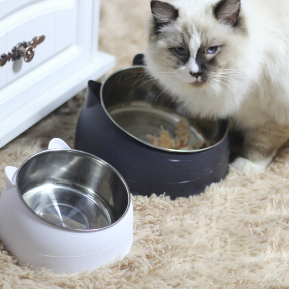 Pet Dog Cat Feeder Bowl Food Drink Water Dish Stainless Steel 15 Degree Tilted