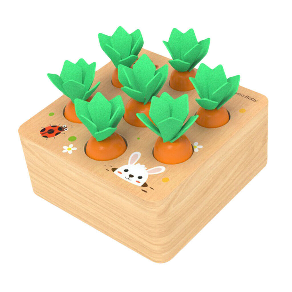 Wooden Carrot Board Finger Flexibility Kit Early Educational Color Gift