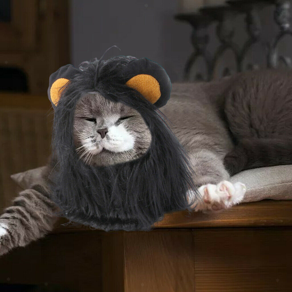 Lion Mane Wig Costume Suit Cat Costume for Cat Pet Clothing Accessories M