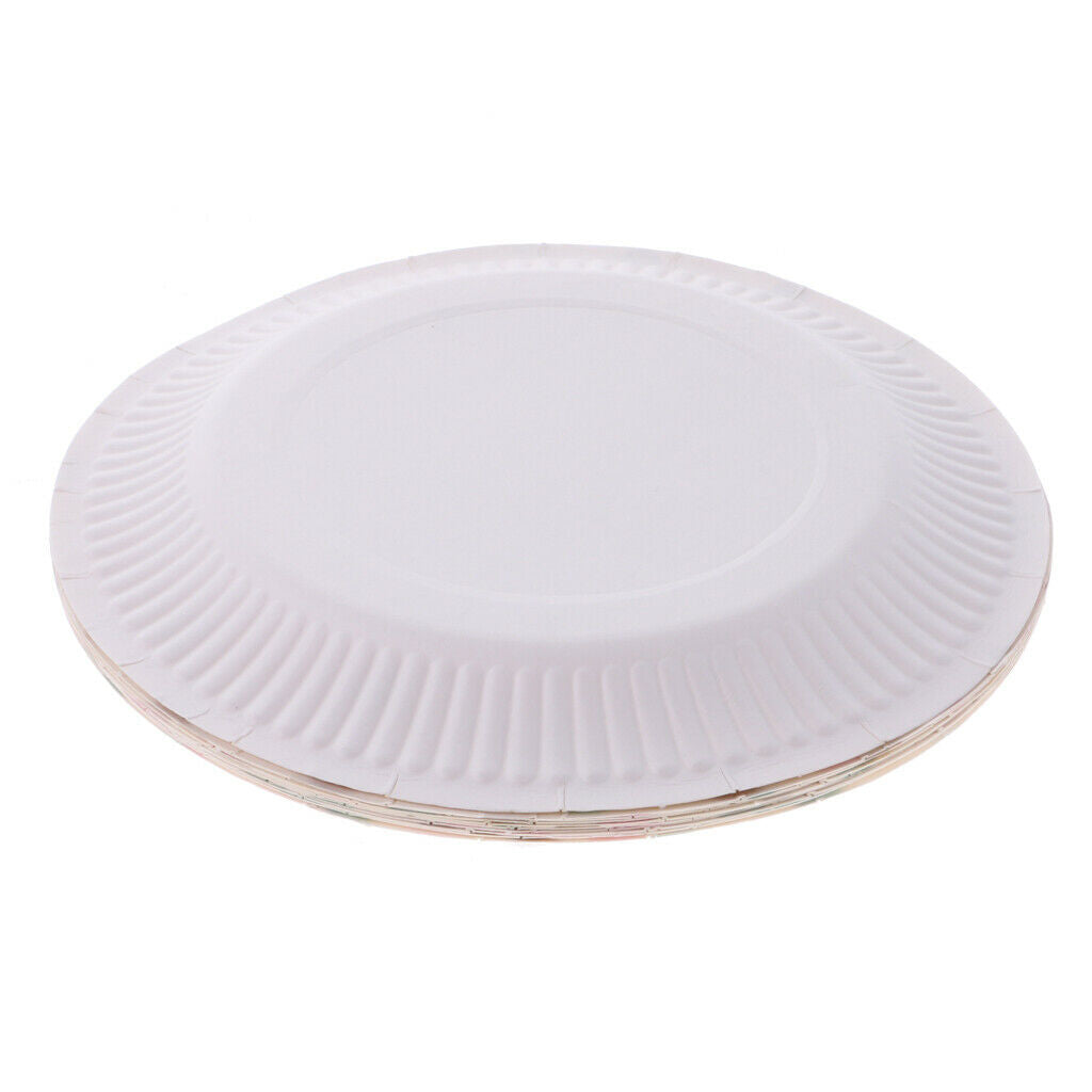 80pcs Paper Disposable Cups & Plate Tableware Dinnerware for BBQ Catering