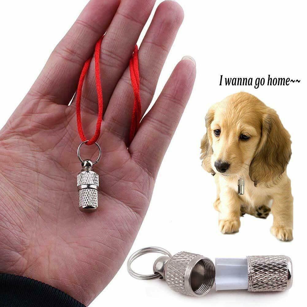 Anti-Lost Pet Dog Cat Puppy ID Address Name Label Tag Barrel Tube Collar Cute