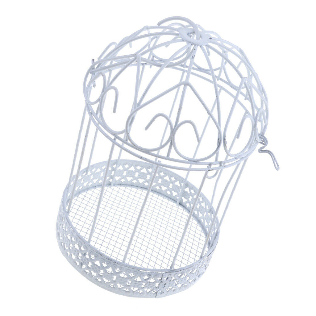 Iron Birdcage Frame Wire Succulent Pot Metal Planter Iron Plant Basket 13cm