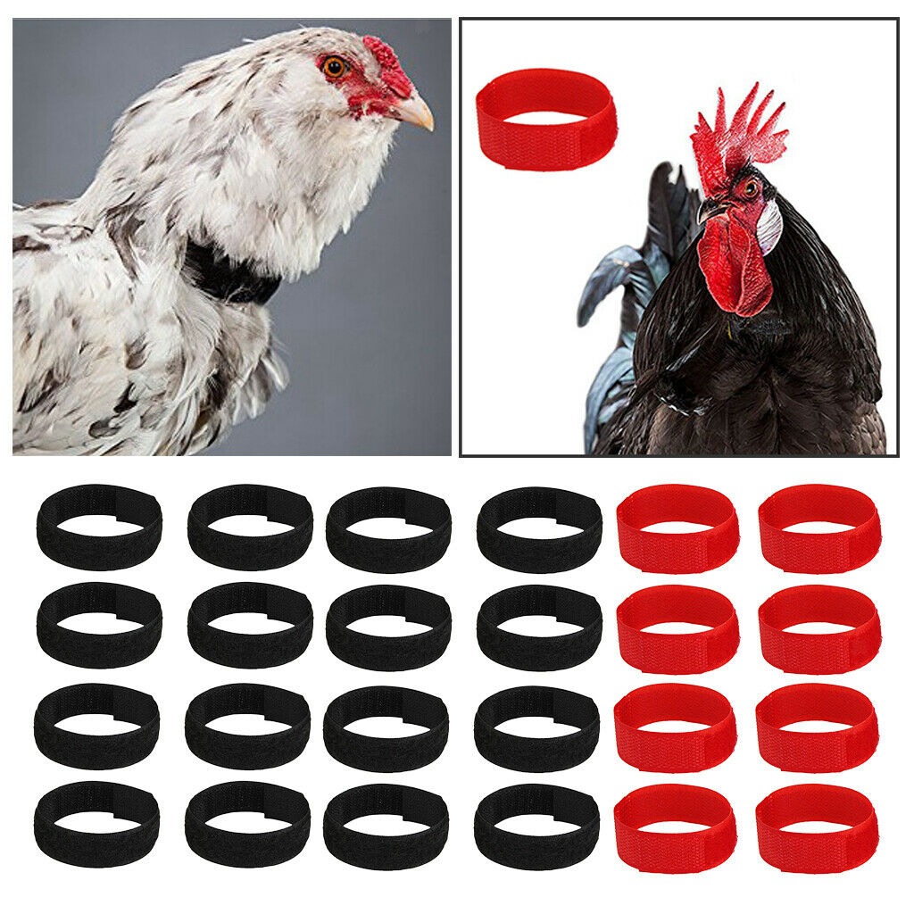 24Pcs/Set Nylon No Crow Crow Reduction Collar for Roosters Belt Neckband