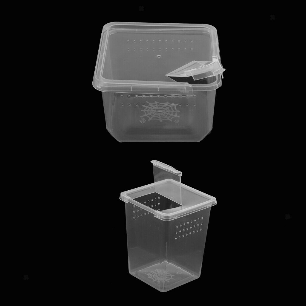 Transparent Plastic Pet Food Container With 2 Pieces Of Scorpion