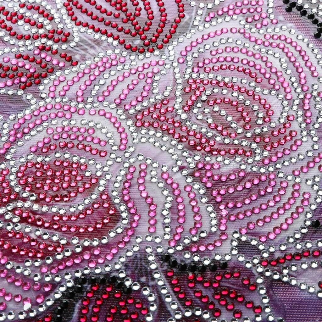 Pack of 2 DIY Special Shaped 5D Diamond Painting Mosaic Cross Stitch Kit