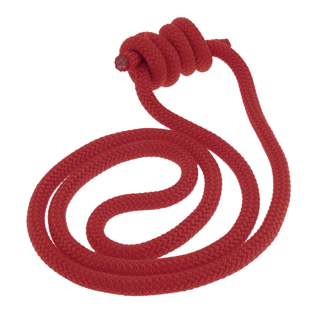 2X 6mm Heat Resistant Rock Climbing Knotted Pre-sewn Prusik Cord Red