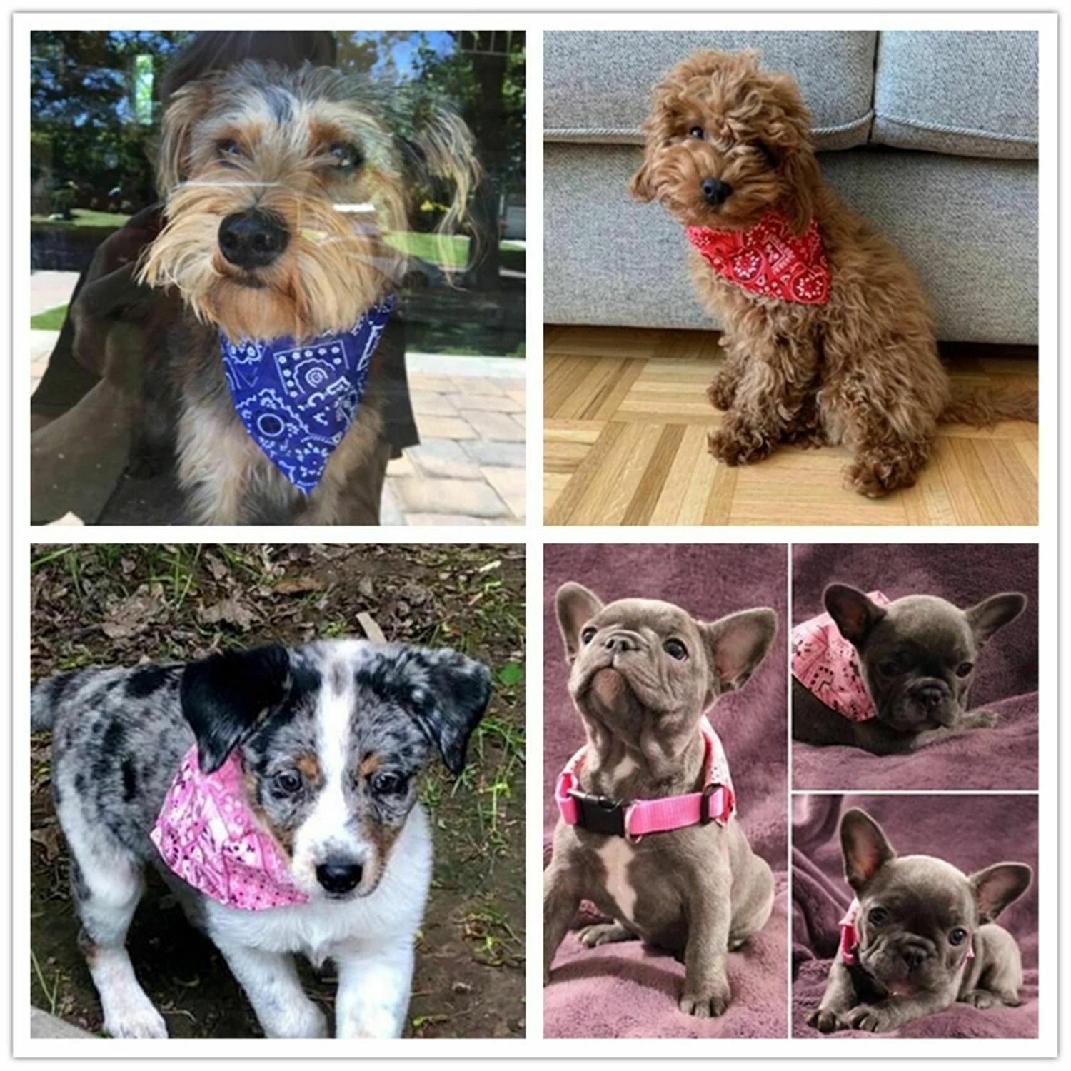 Neck Decor Triangular Bandage Puppy Kerchief Dog Bandanas Pet Scarf Cat Bibs