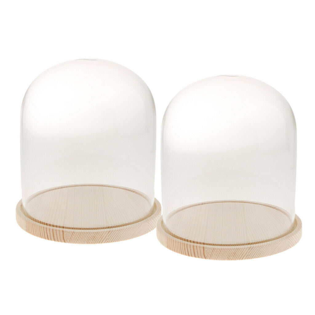 2-pack Clear Festival Glass Dome with Wooden Base Display Bell Jar Case